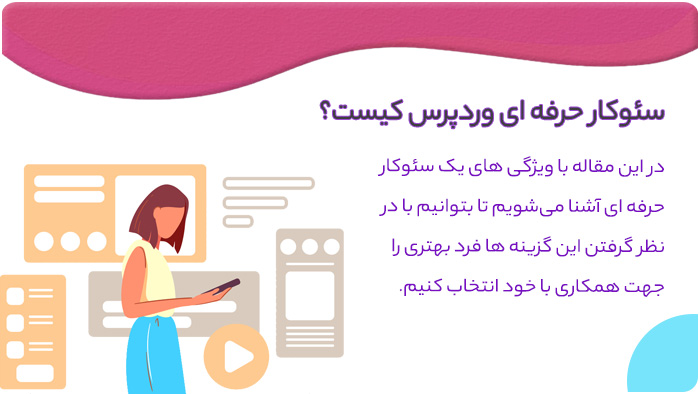 سئوکار حرفه ای وردپرس کیست سئوکار حرفه ای وردپرس کیست